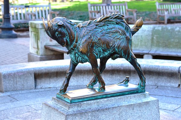 Billy Goat